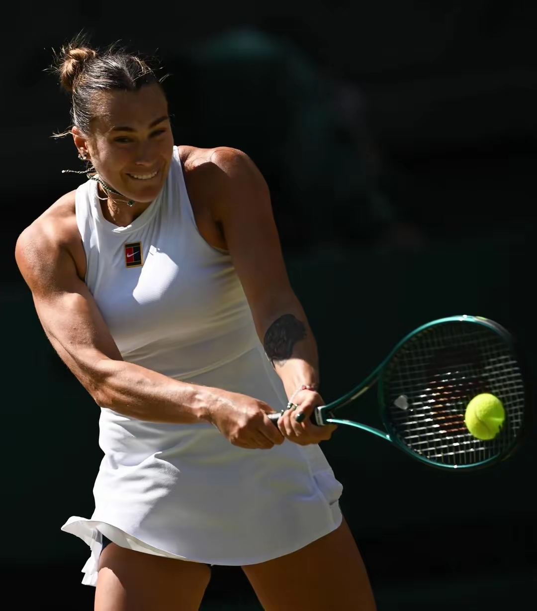 戴维斯杯绝杀温网,蒂姆惊艳四座 戴维斯杯绝杀温网,蒂姆惊艳四座