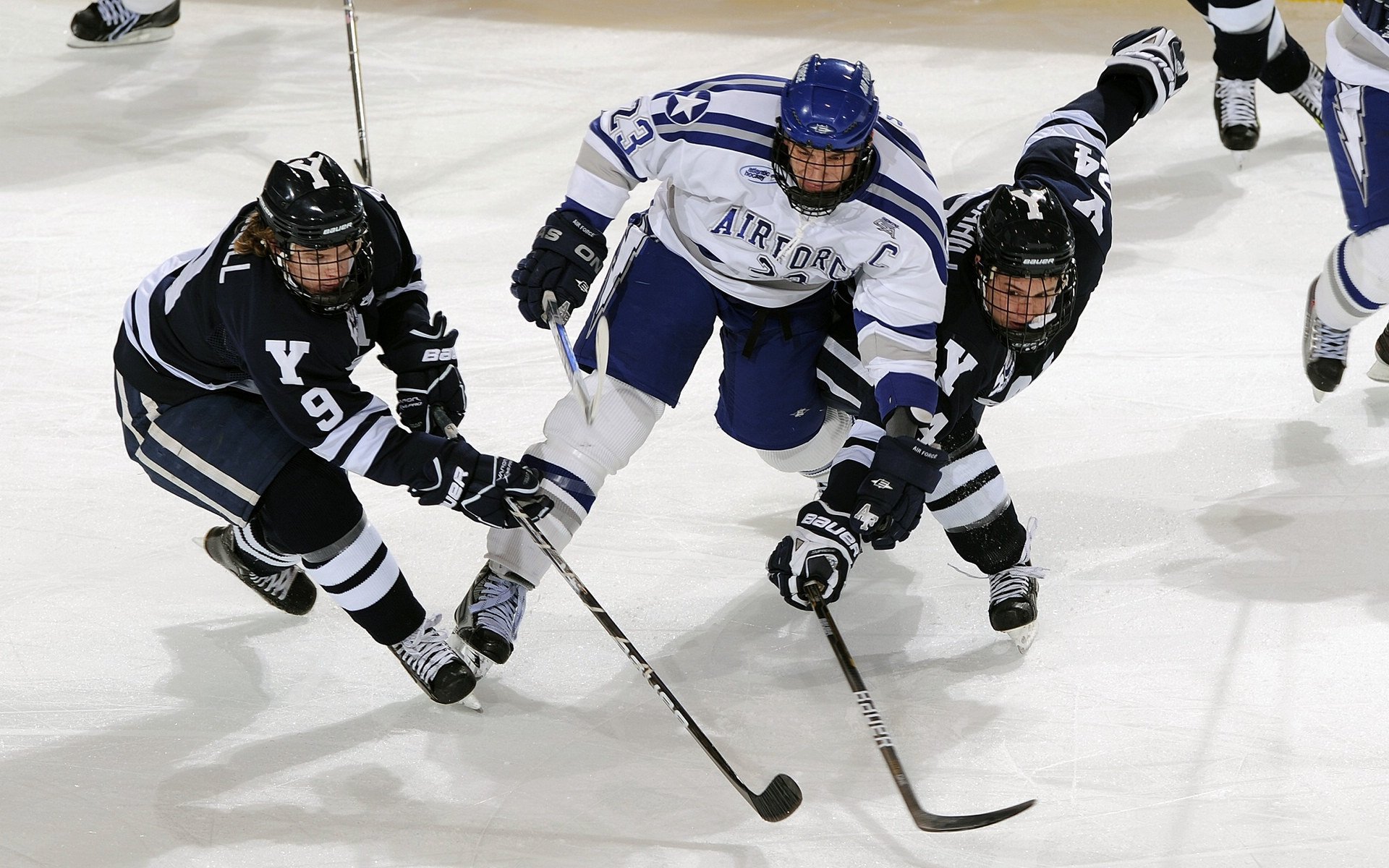 上海队完胜广东队,霍勒迪连续得分拉开差距的背后,是战术与意志的全面胜利
